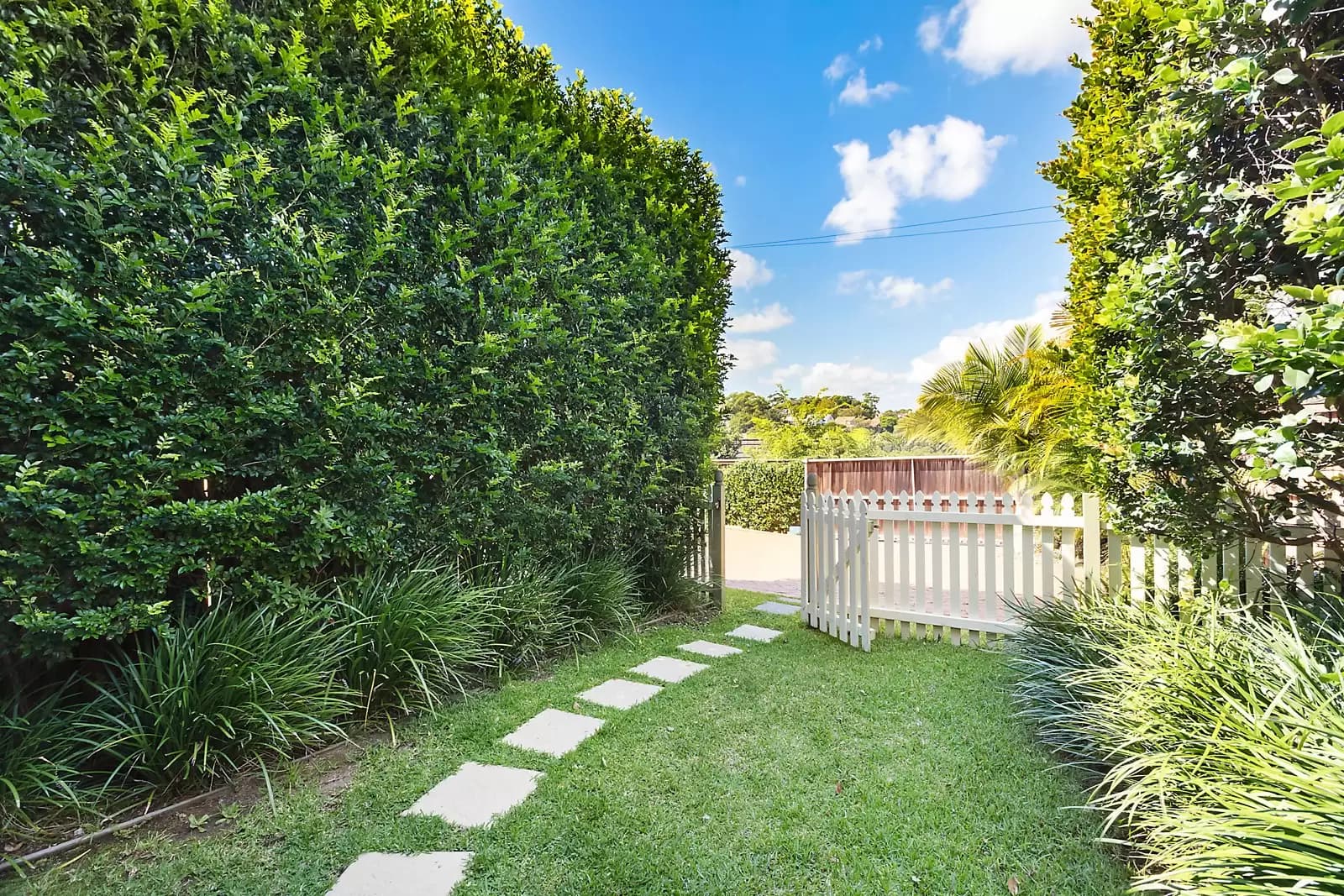 14A Holt Avenue, Mosman, Mosman - Thumbnail 8