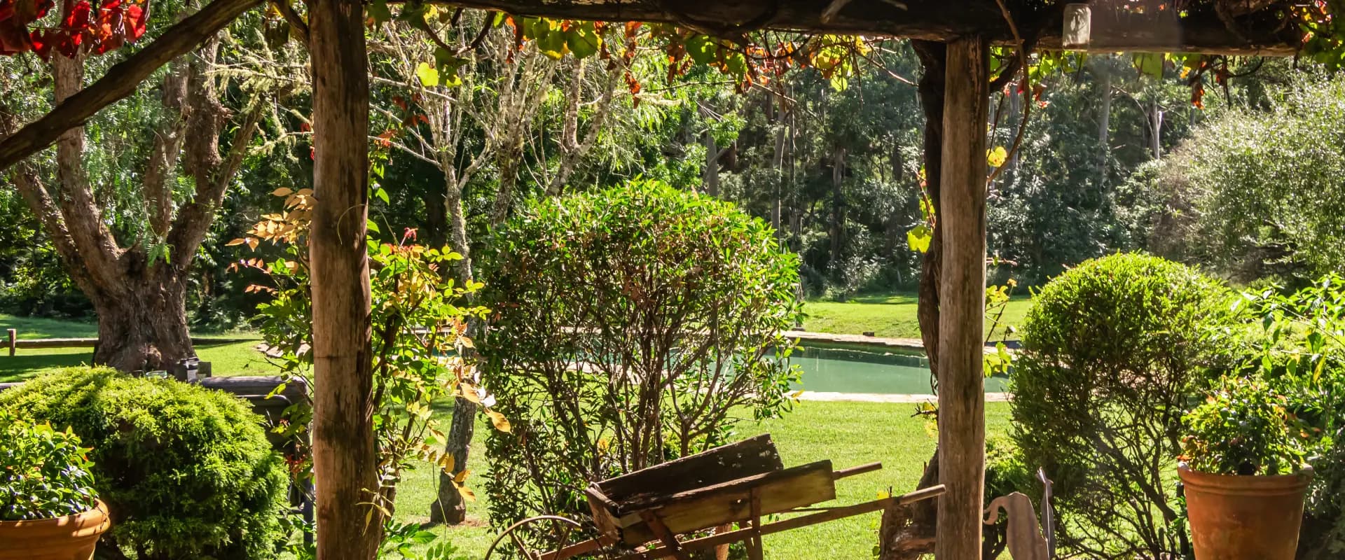 156 Billy Bourne Rd, Wollombi - Thumbnail 6
