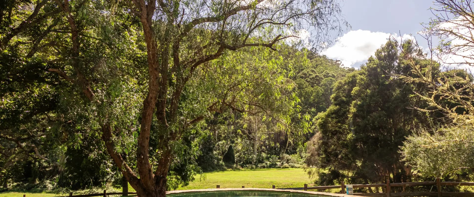 156 Billy Bourne Rd, Wollombi - Thumbnail 8
