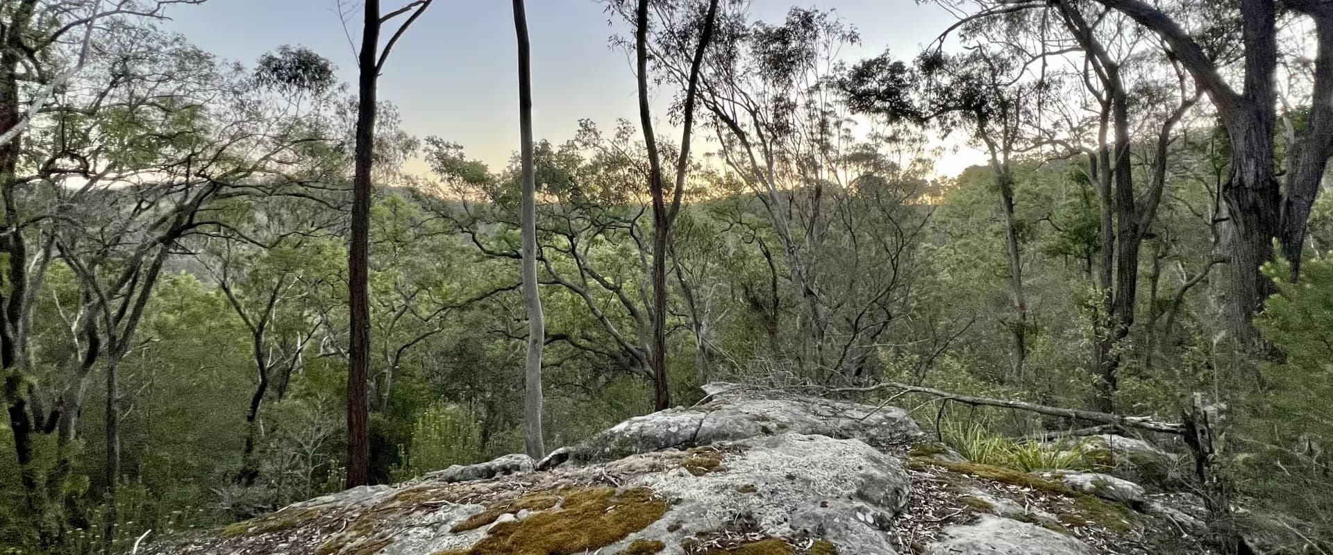 2962 Great North Road, Wollombi, Wollombi - Thumbnail 4