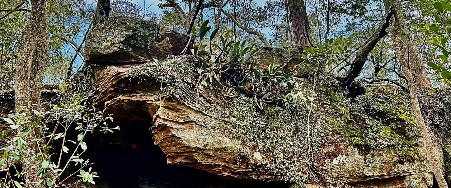 780 Milsons Arm Road, Wollombi, Wollombi - Thumbnail 4