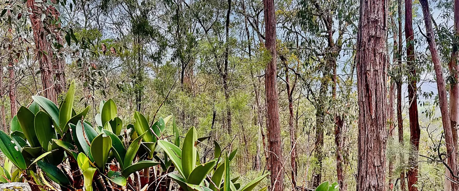 780 Milsons Arm Road, Wollombi, Wollombi - Thumbnail 6