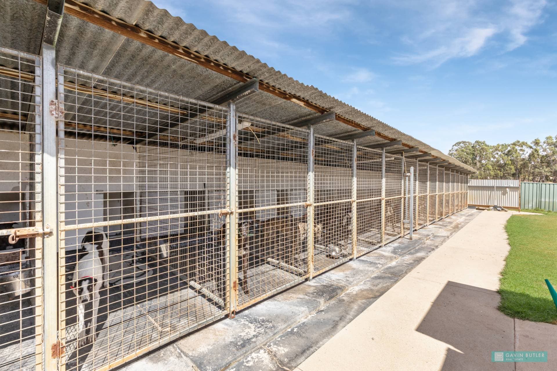 266 Howard St, Eaglehawk, VIC, Eaglehawk - Thumbnail 5