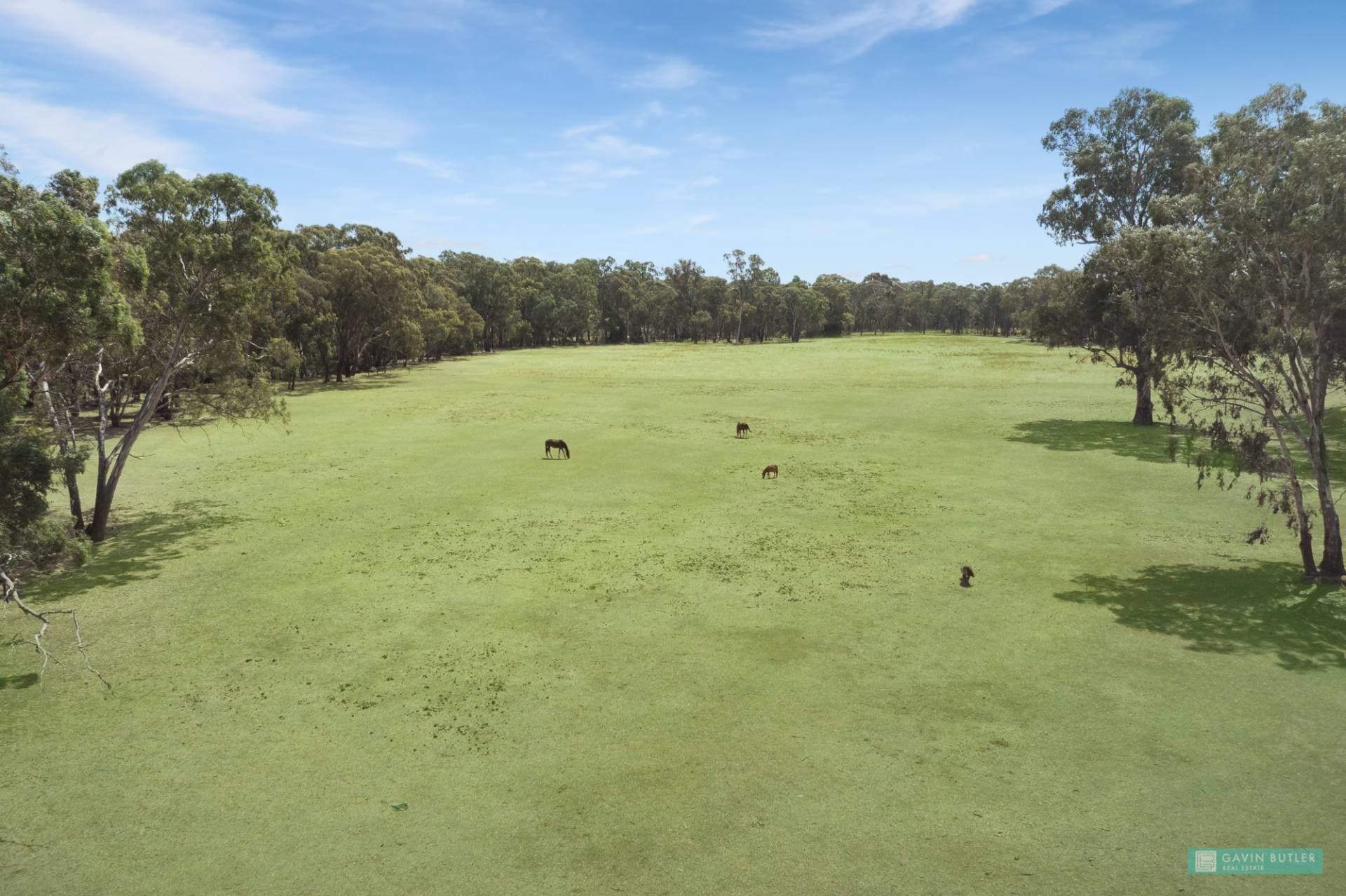 CA 152 Tackaberry Road, Eaglehawk, VIC, Eaglehawk - Thumbnail 5