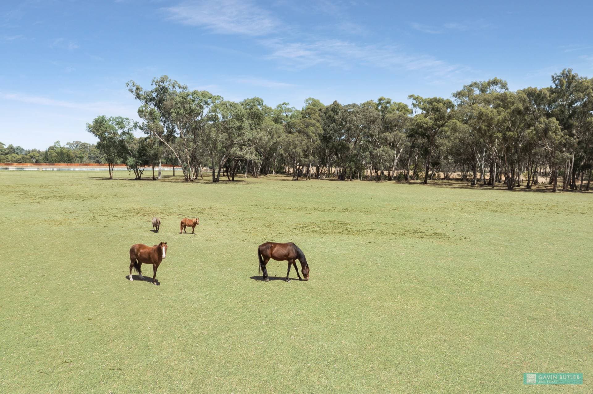 CA 152 Tackaberry Road, Eaglehawk, VIC, Eaglehawk - Thumbnail 8