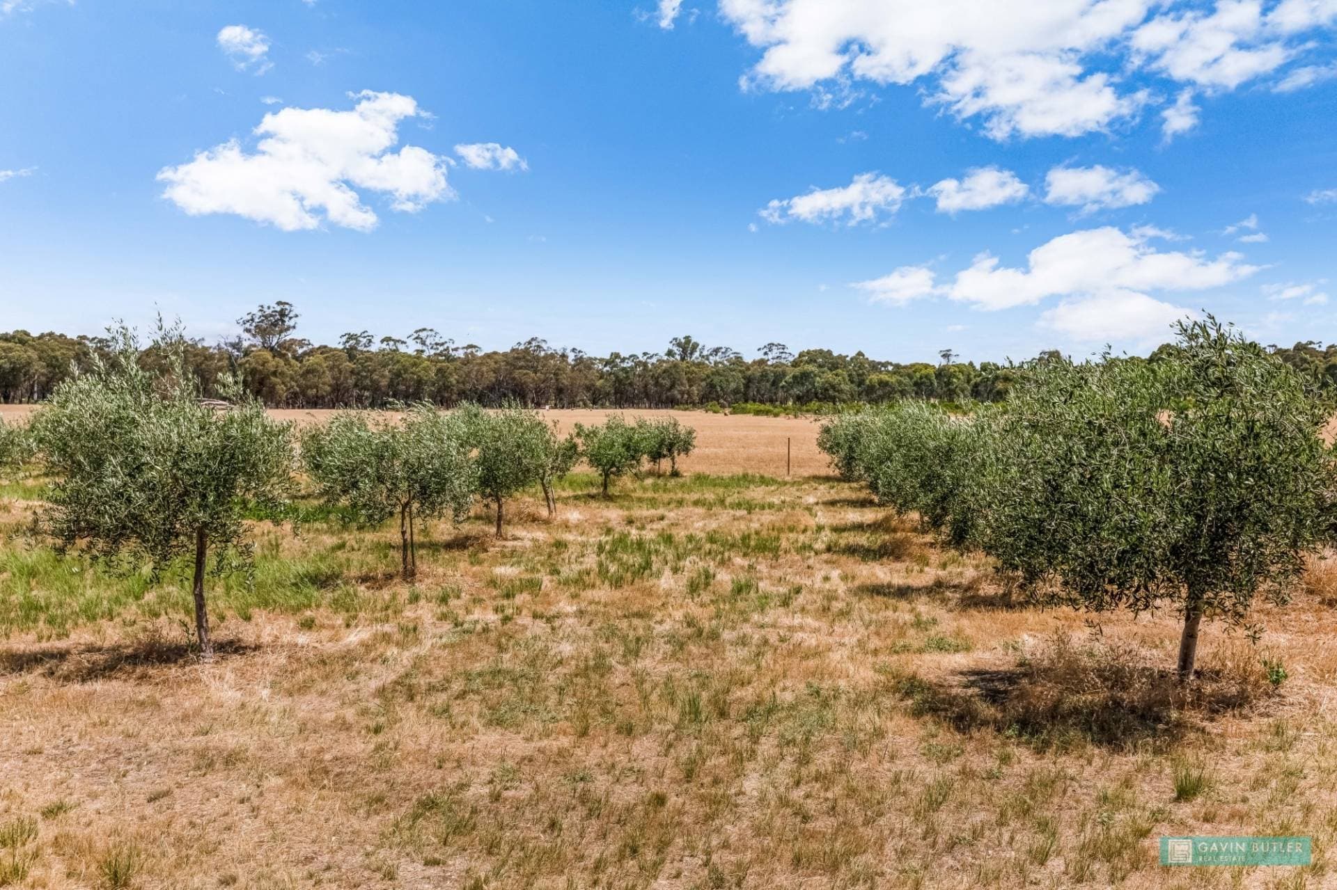 5B Scotts Road, Neilborough, VIC, Neilborough - Thumbnail 5