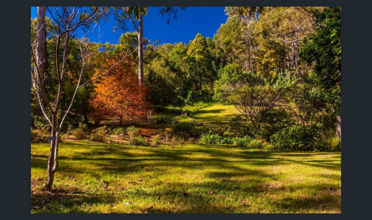 164 Murray Grey, Tamborine QLD 4270, Tamborine - Thumbnail 6