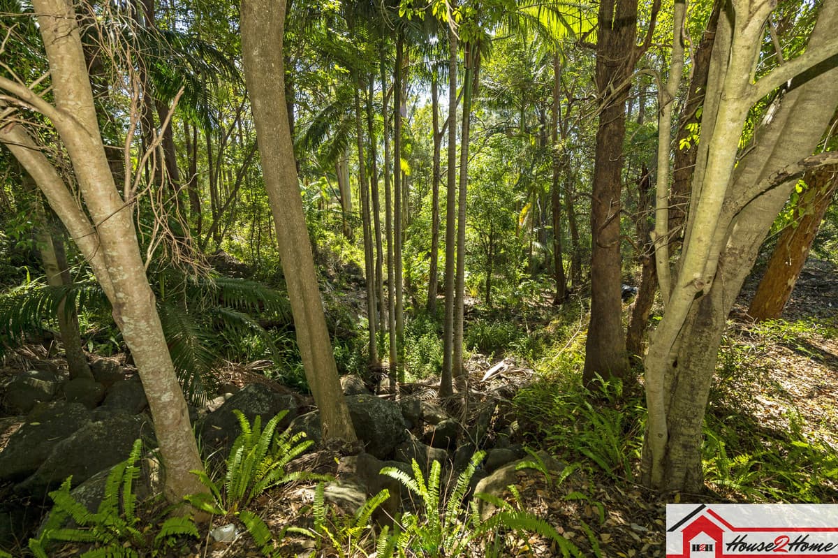 164 Murray Grey, Tamborine QLD 4270, Tamborine - Thumbnail 8