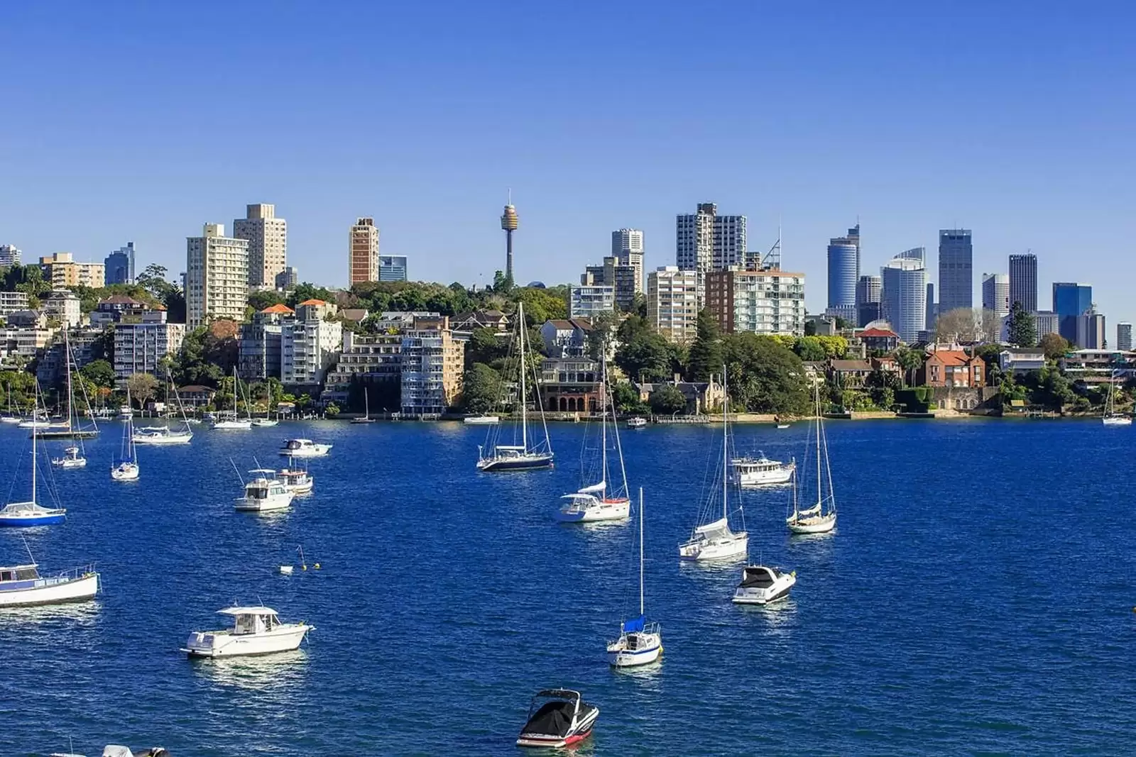 38 Wolseley Road 'Sienna' Residence 5, Point Piper, Point Piper - Thumbnail 5