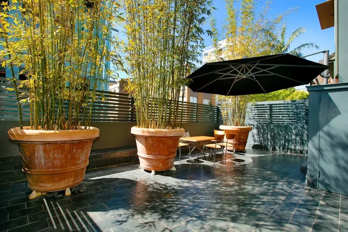 8 Saint Neot Avenue, Potts Point, Potts Point - Thumbnail 4