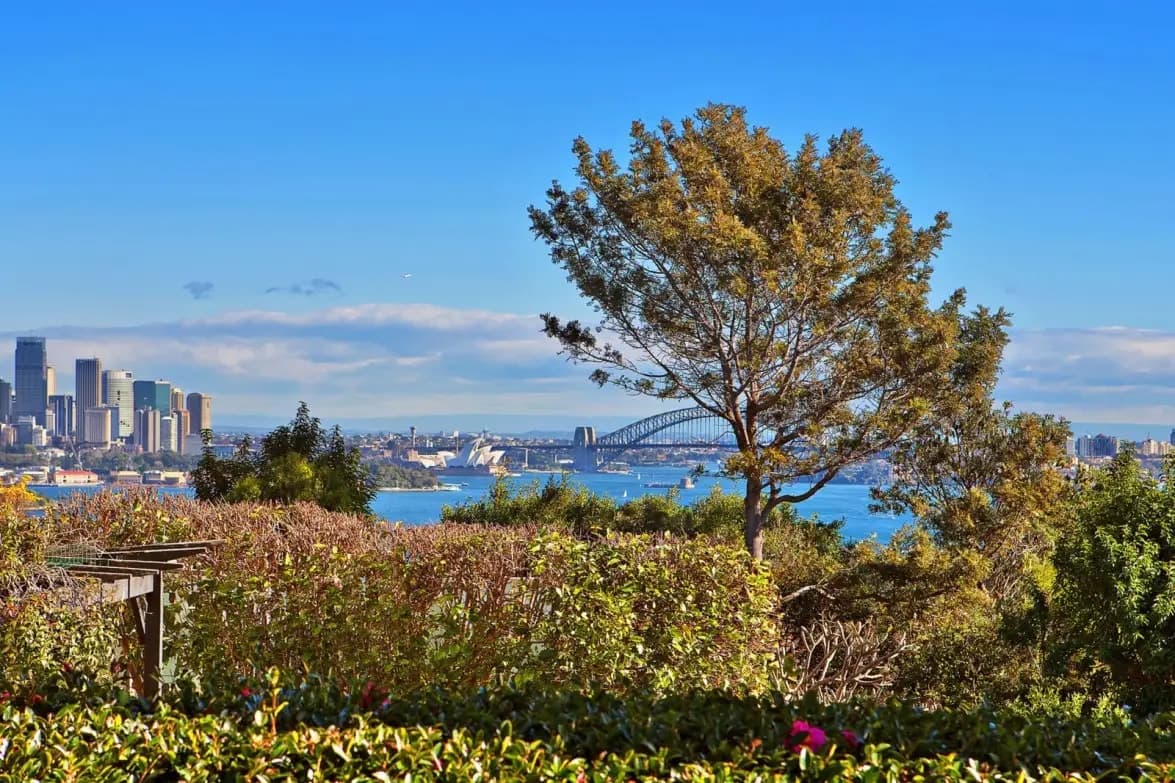 6b Clairvaux Road, Vaucluse, Vaucluse - Thumbnail 3