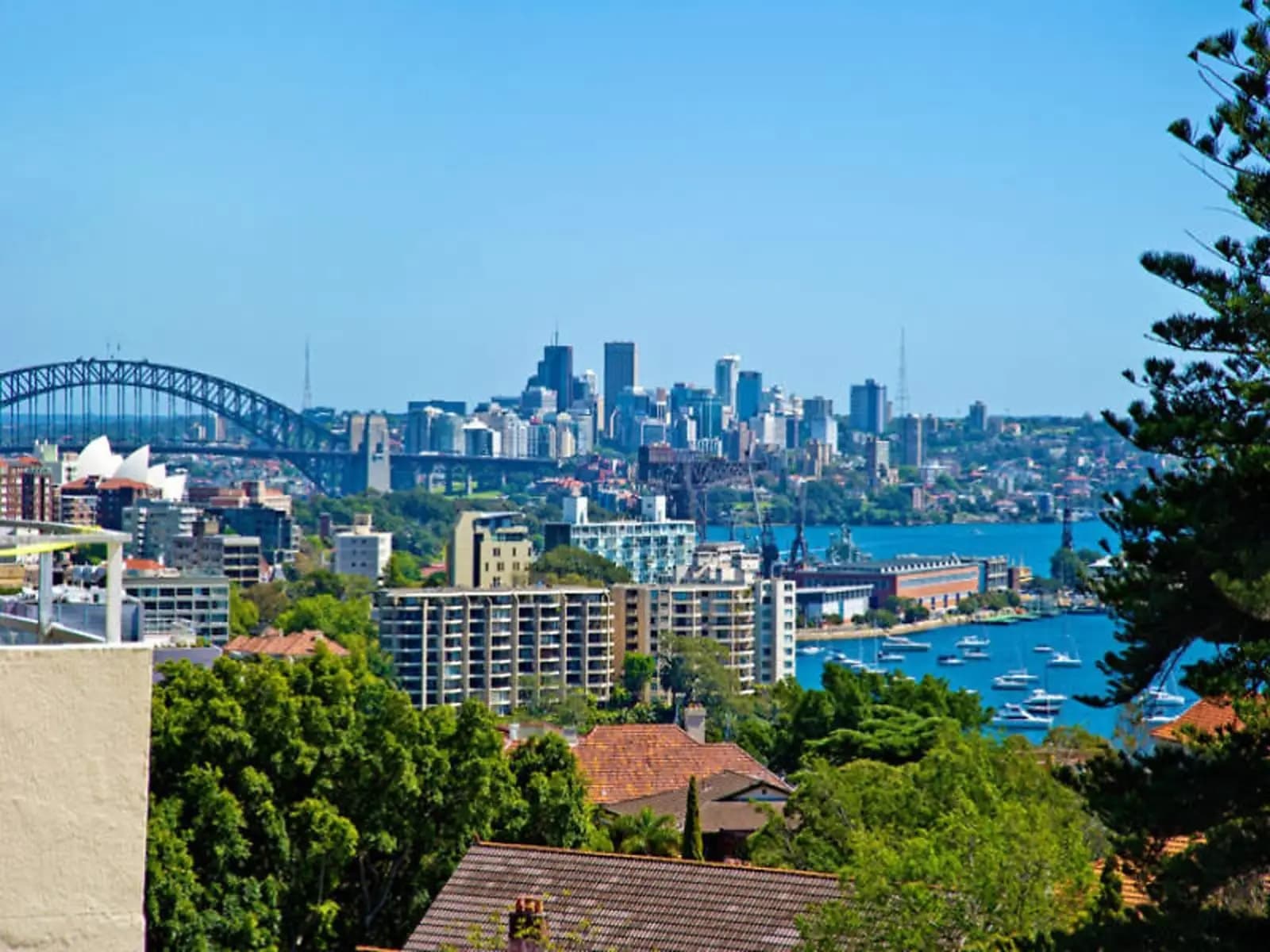 Darling Point, Darling Point - Image 1