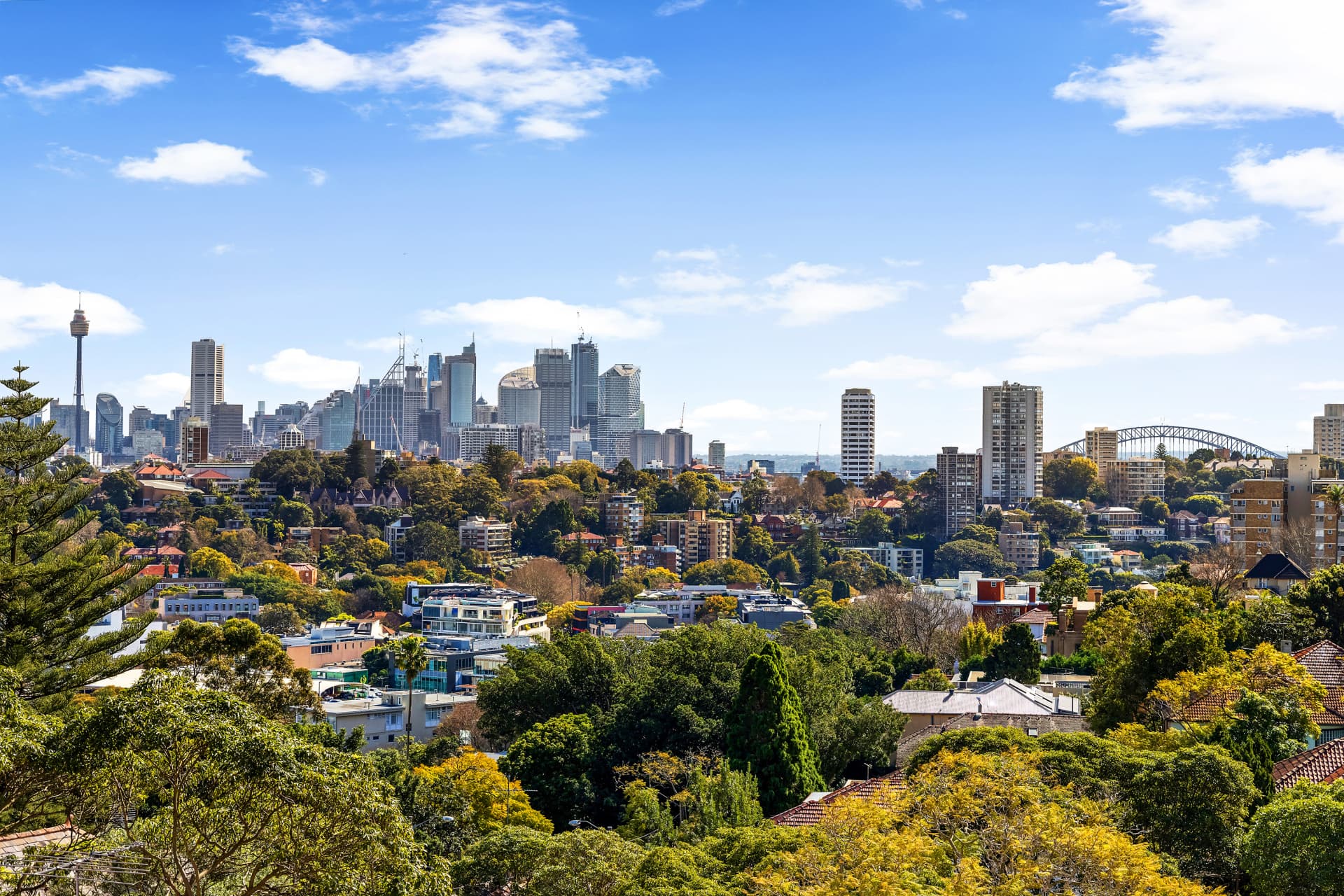 24 Kulgoa Road, Bellevue Hill, Bellevue Hill - Image 1