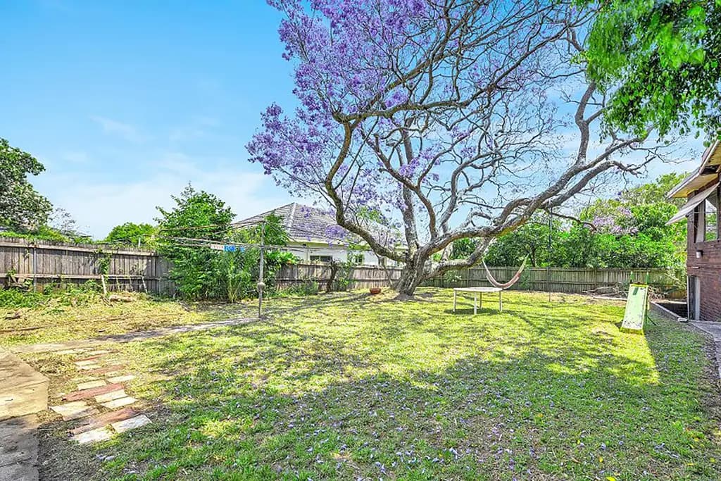 135 Wentworth Road, Strathfield, Strathfield - Thumbnail 3