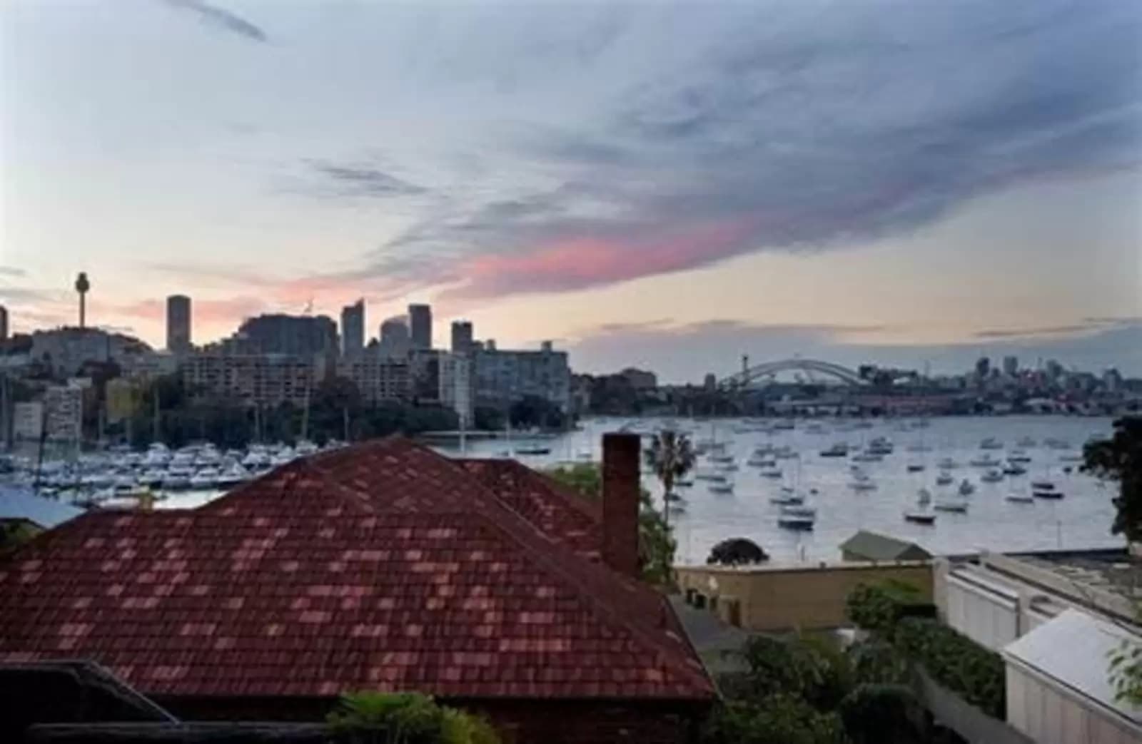 14 Annandale Street, Darling Point, Darling Point - Thumbnail 6