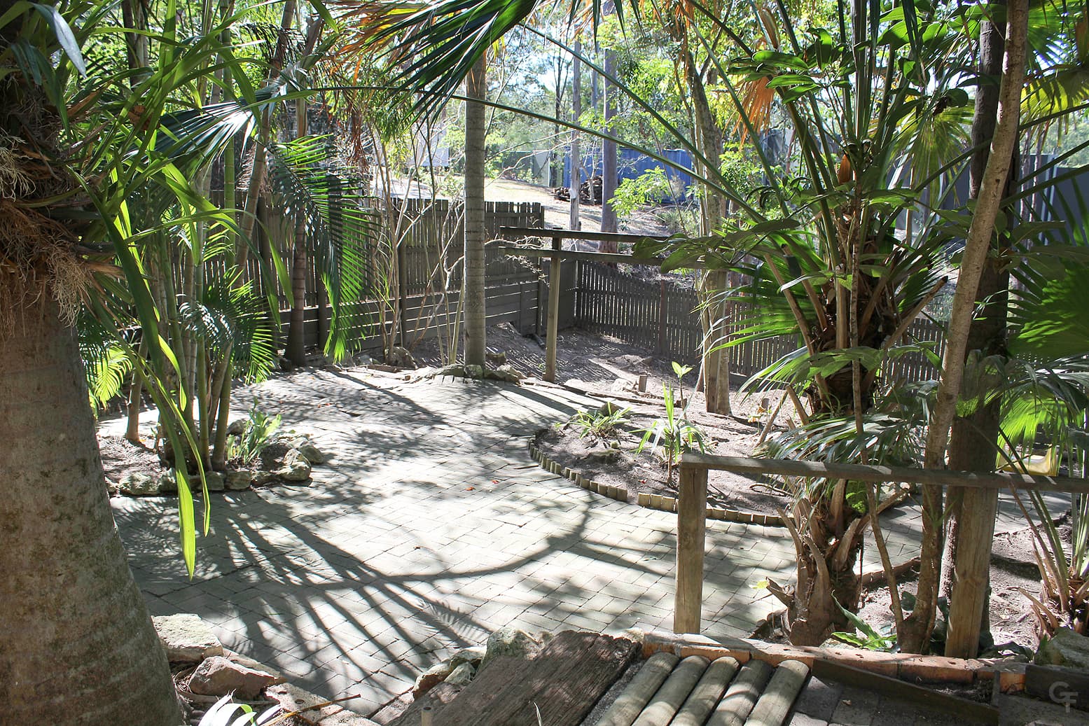 53 Coverdale St, Indooroopilly - Thumbnail 5
