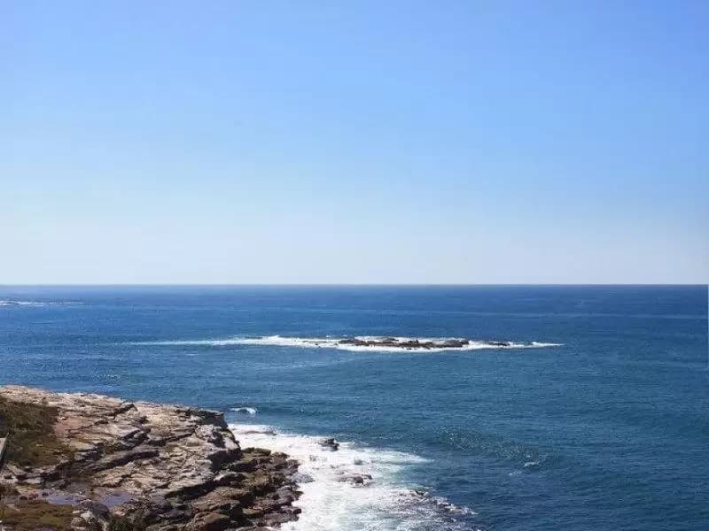 19 Cairo Street, Coogee, Coogee - Thumbnail 6