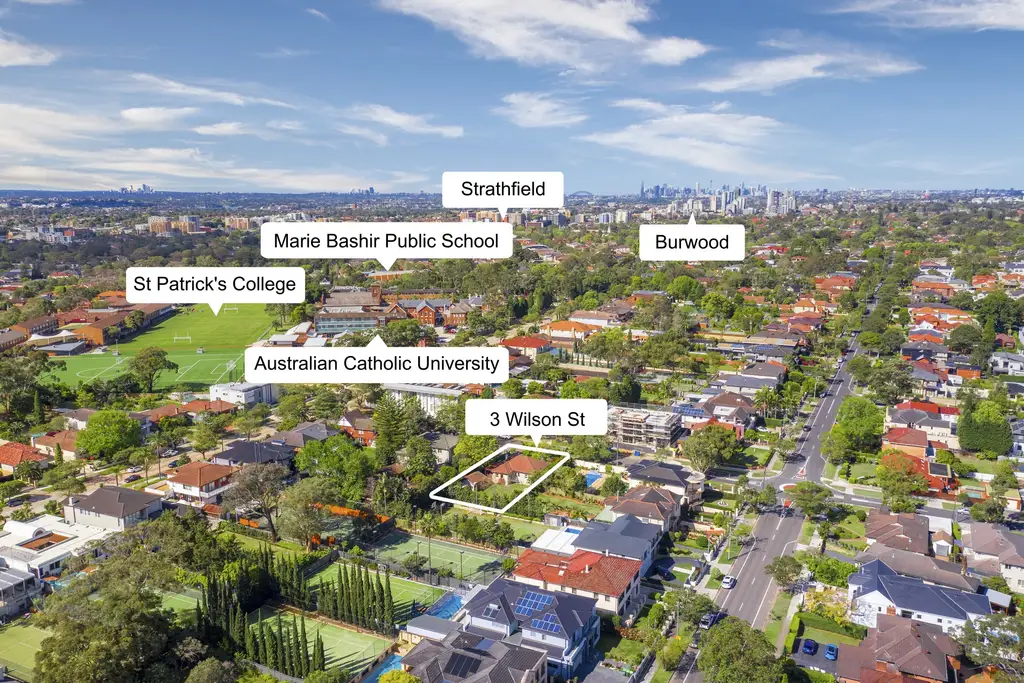 3 Wilson Street, Strathfield, Strathfield - Thumbnail 3