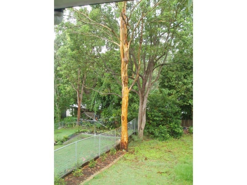 33 Henry St, Chapell Hill - Thumbnail 5