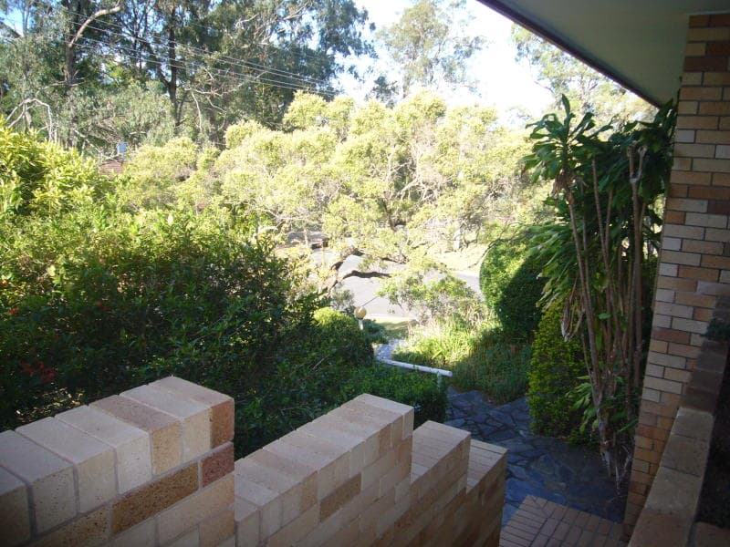 8 Bina St, Chapel Hill - Thumbnail 6