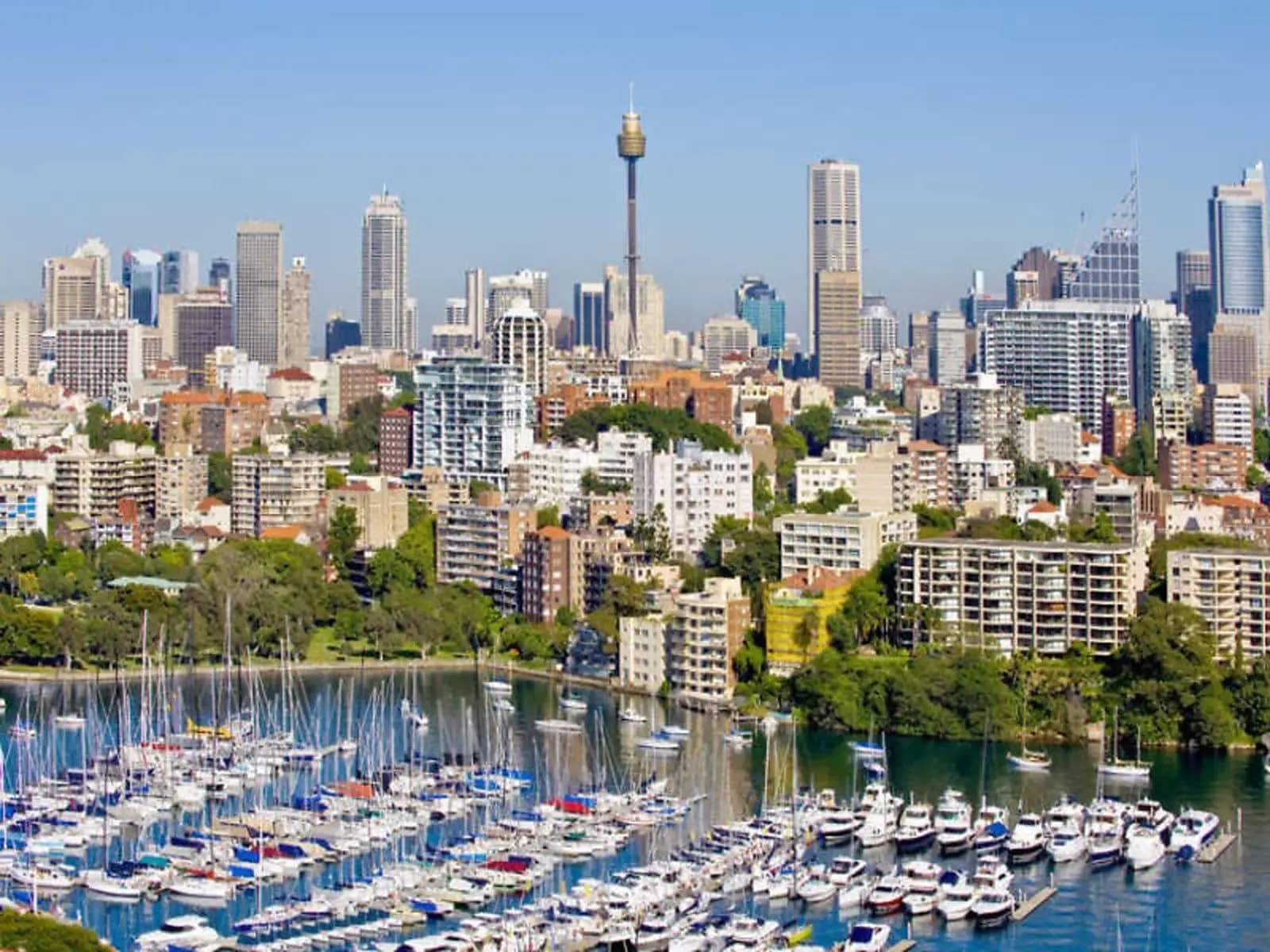 Darling Point, Darling Point - Thumbnail 3