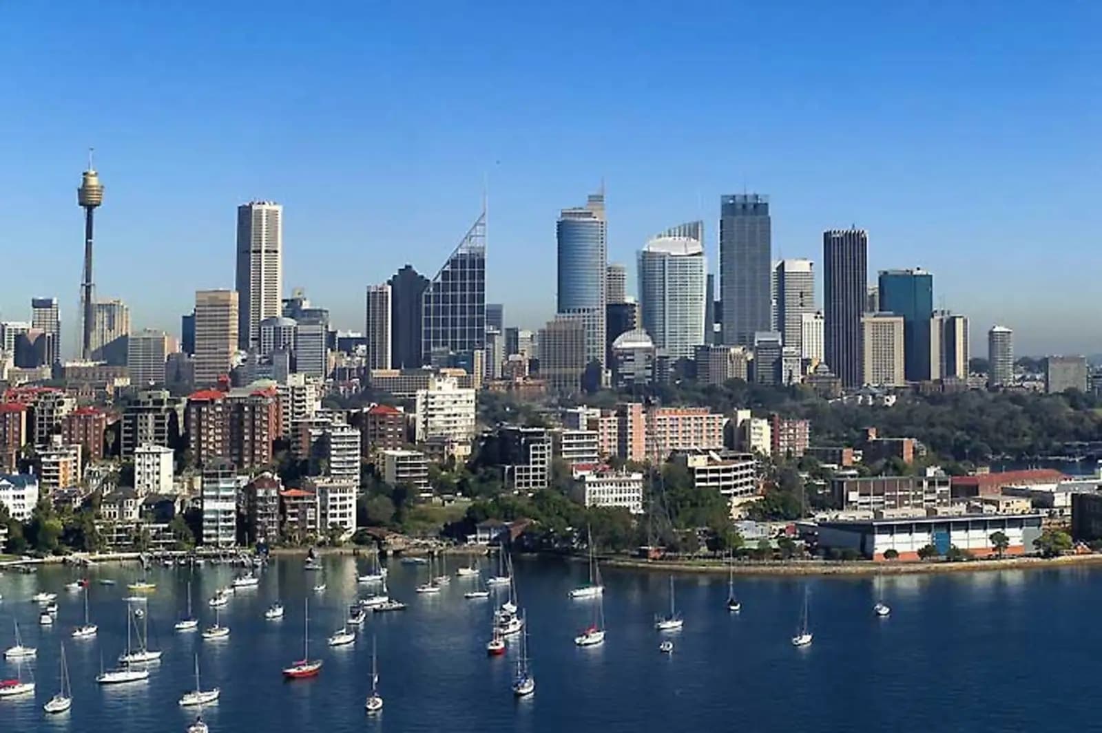 Darling Point, Darling Point - Thumbnail 2