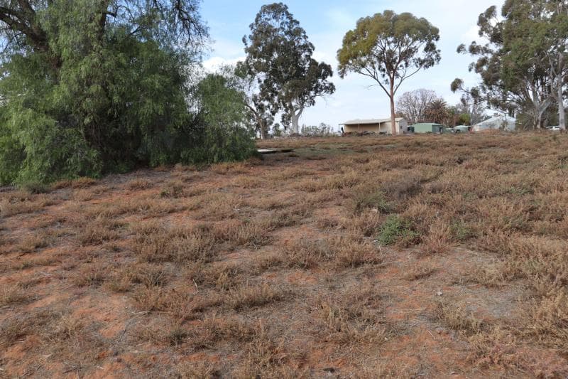 334 KATARAPKO CRESCENT
WINKIE SA 5343, Winkie - Thumbnail 4