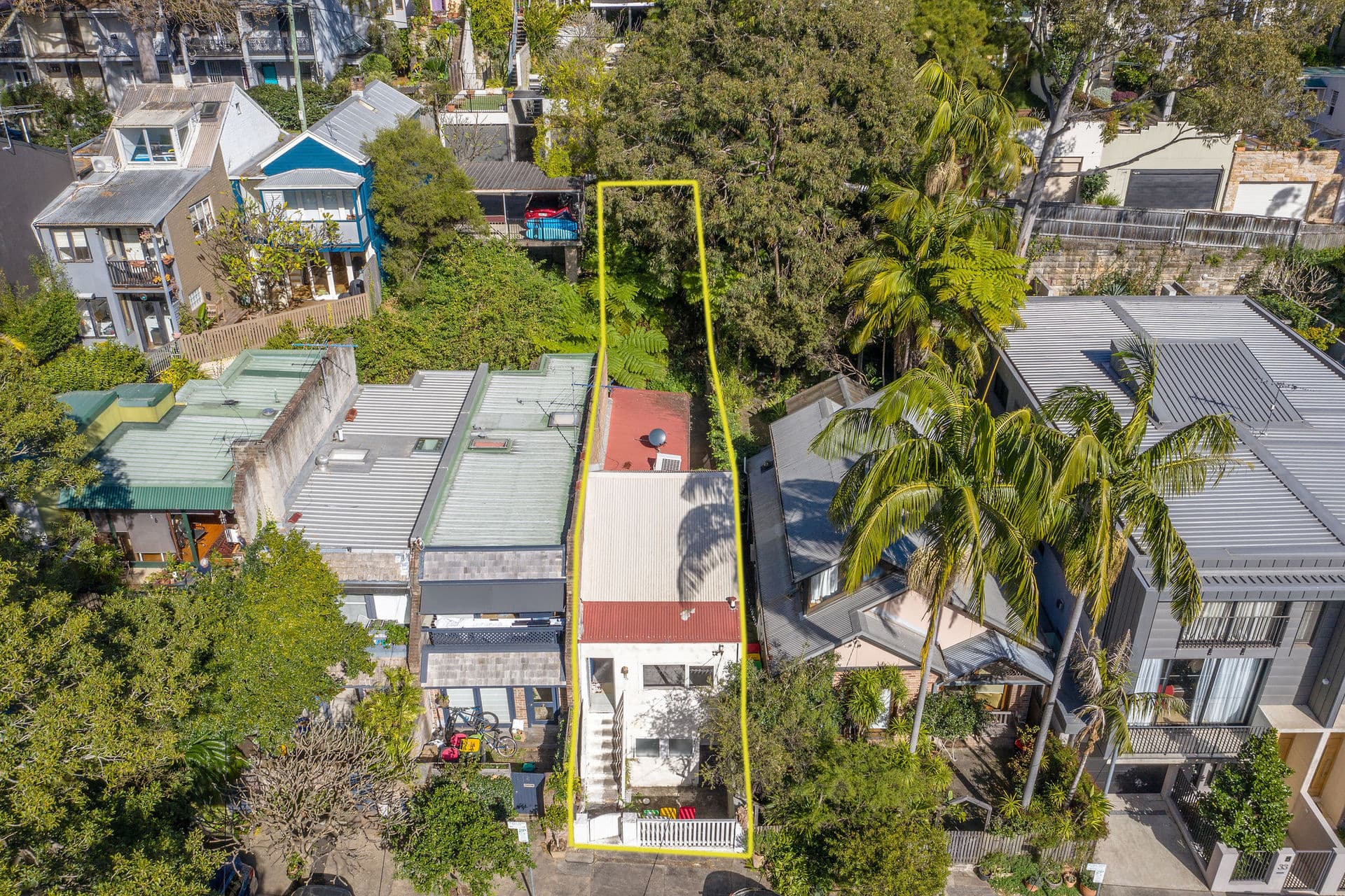 39 Harris Street, Paddington, Paddington - Image 1