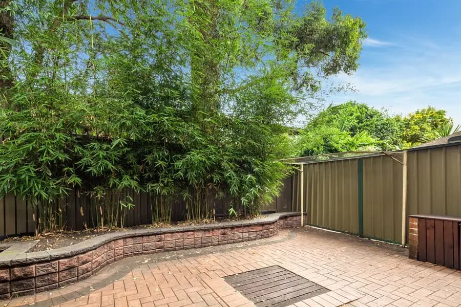 3/393 Liverpool Road, Strathfield, Strathfield - Thumbnail 4