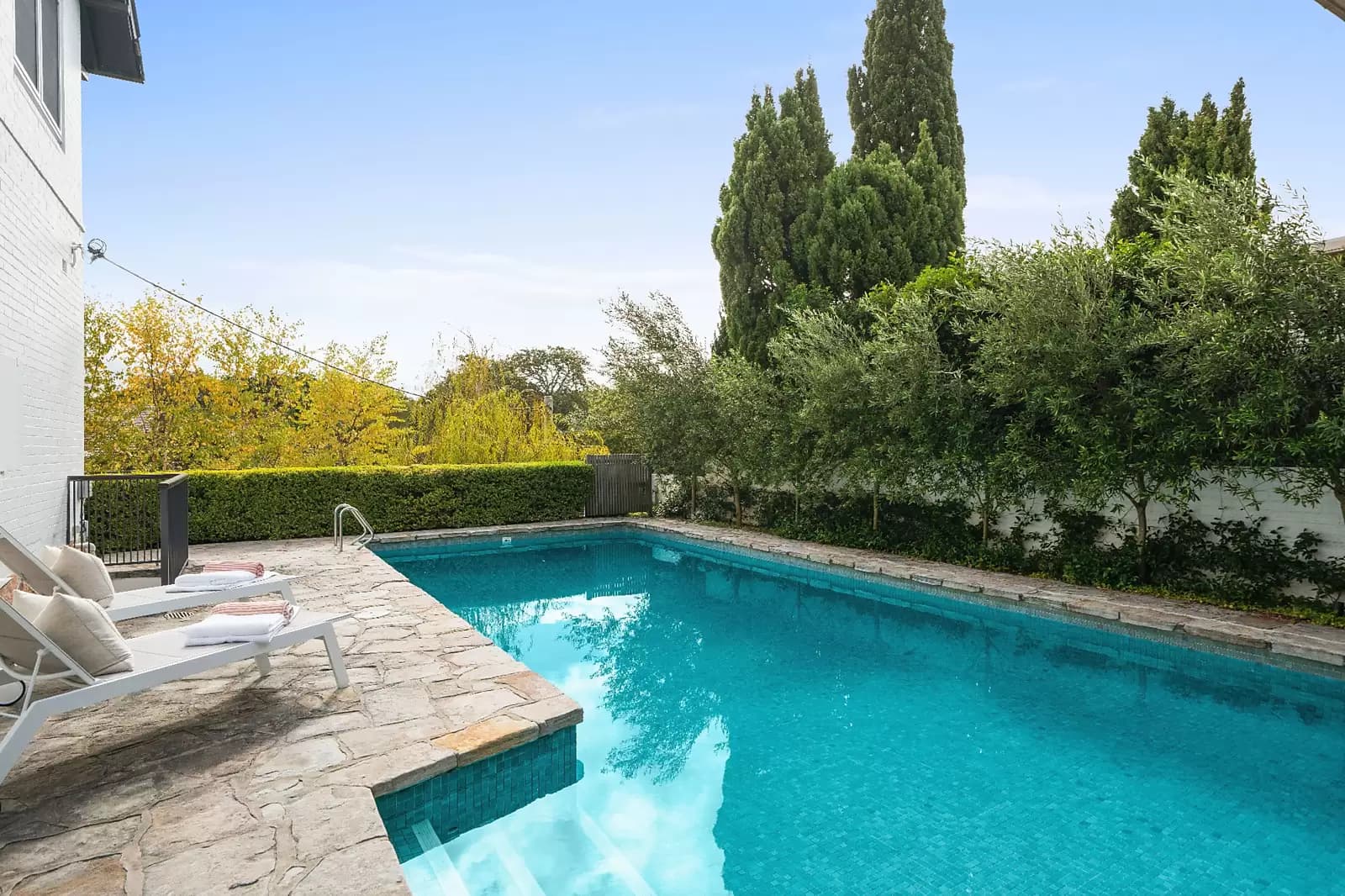 19 Mansion Road, Bellevue Hill, Bellevue Hill - Thumbnail 7