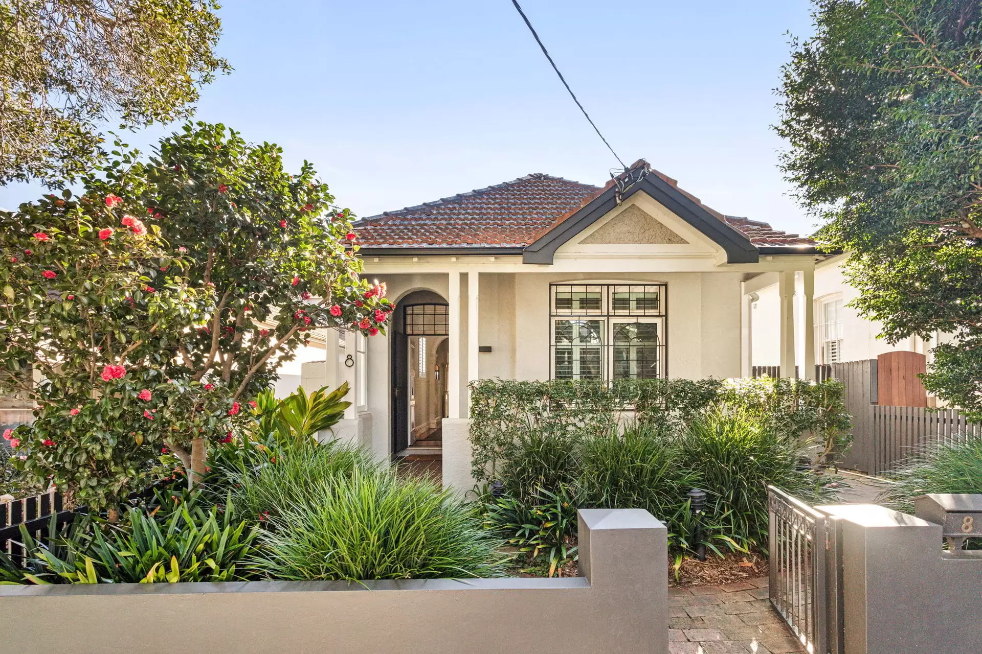 8 Dangar Street, Randwick, Randwick - Thumbnail 6