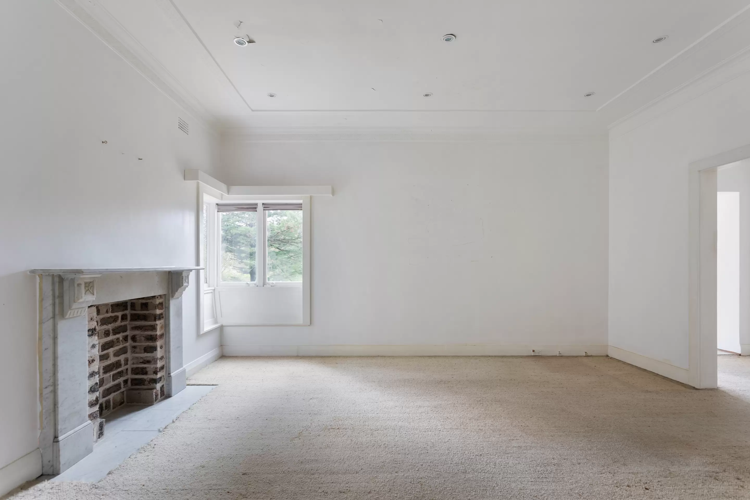 115 Manning Road, Woollahra, Woollahra - Thumbnail 3
