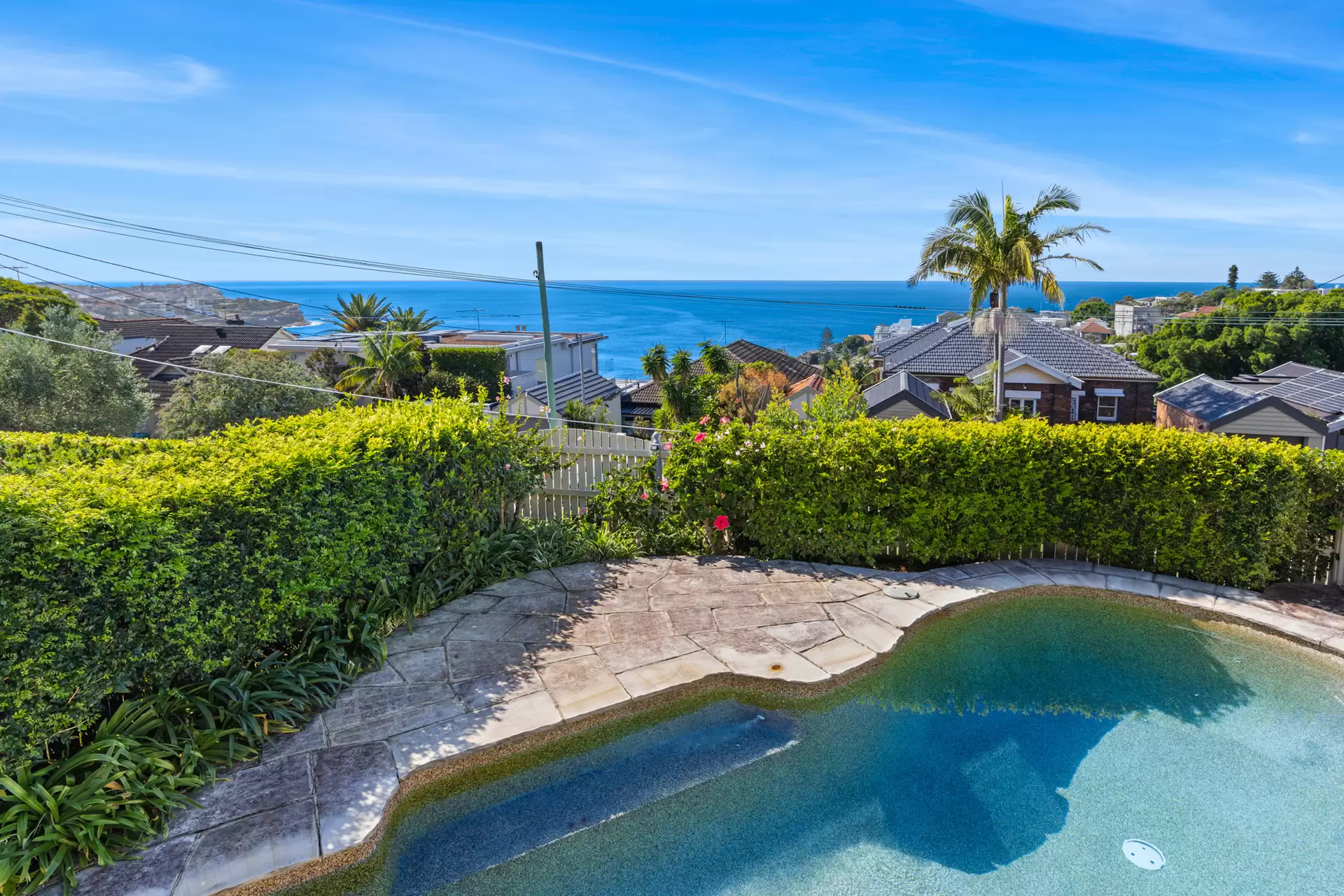 19 St Thomas Street, Bronte, Bronte - Thumbnail 4
