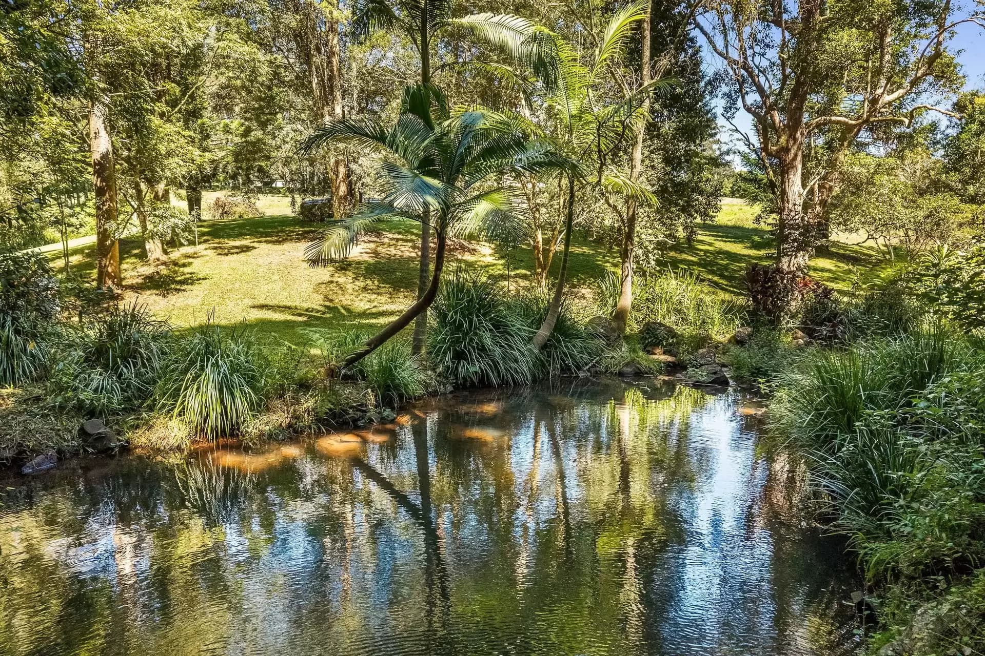 120 Alstonvale Road, Alstonvale, Alstonvale - Thumbnail 3