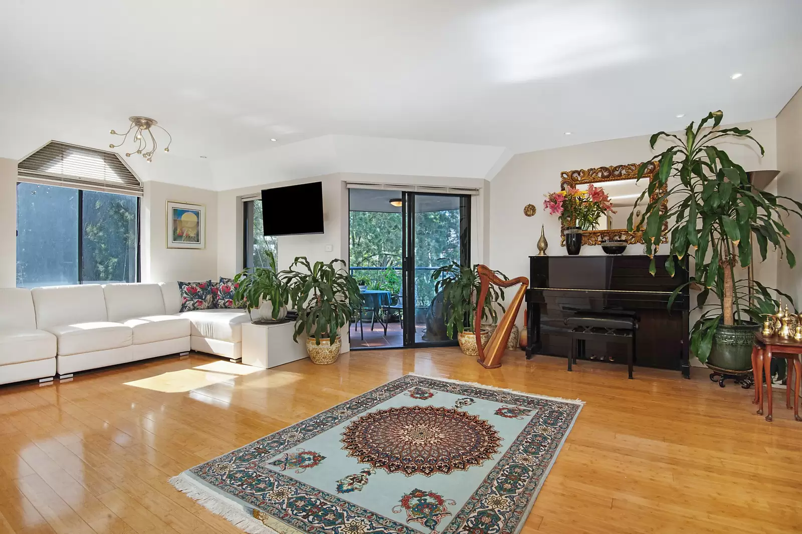8 & 9/29-31 Cook Street, Glebe, Glebe - Image 1