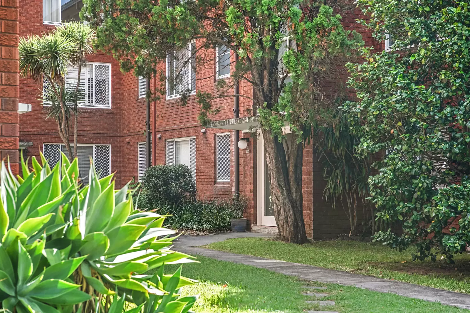 23/8 Orpington Street, Ashfield, Ashfield - Thumbnail 2