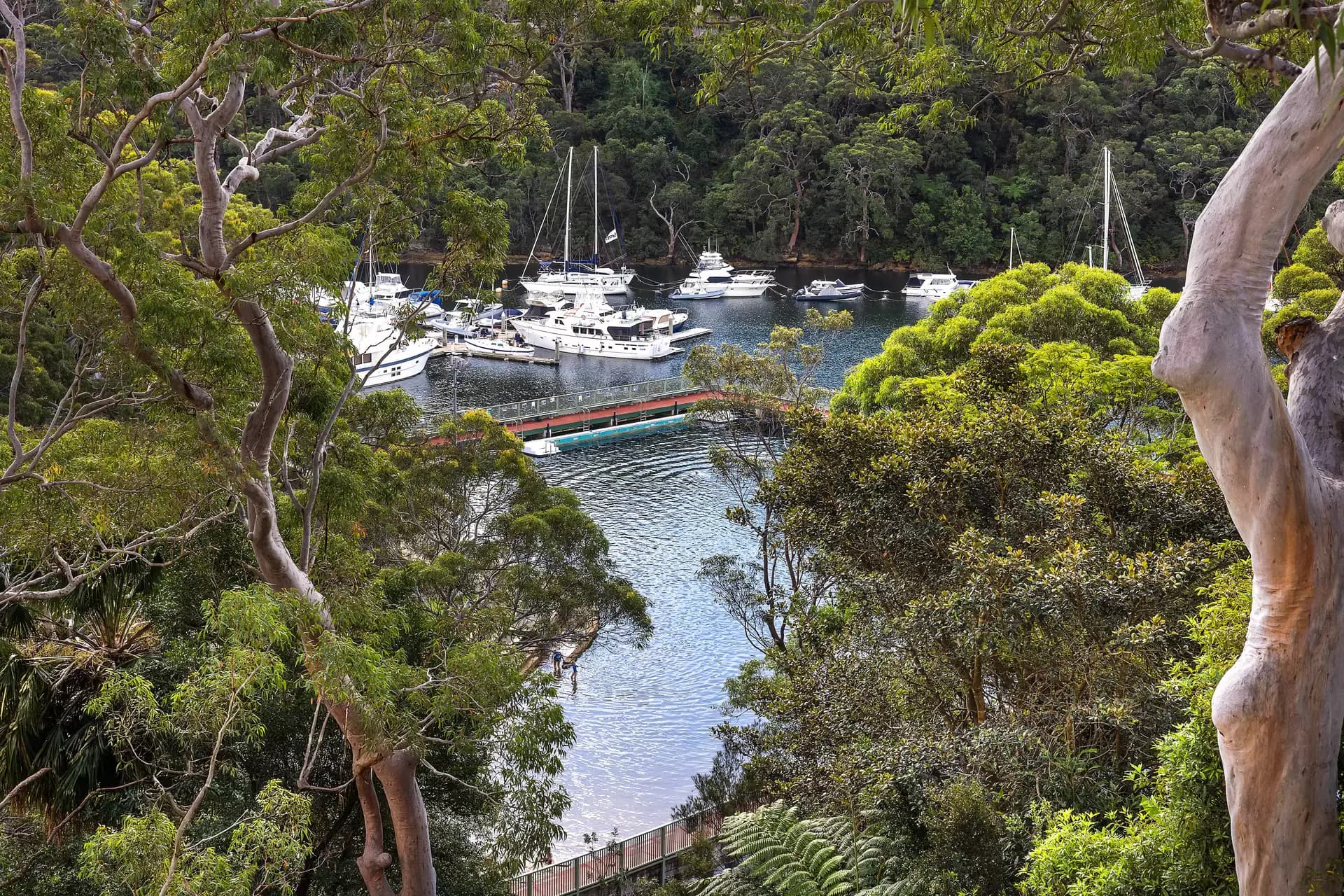 77 Minimbah Road, Northbridge, Northbridge - Thumbnail 5