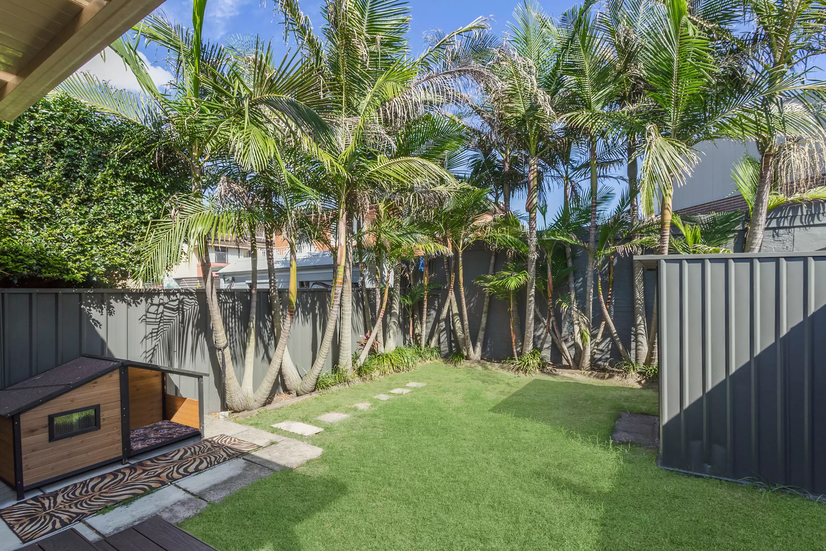 362 Avoca Street, Kingsford, Kingsford - Thumbnail 5