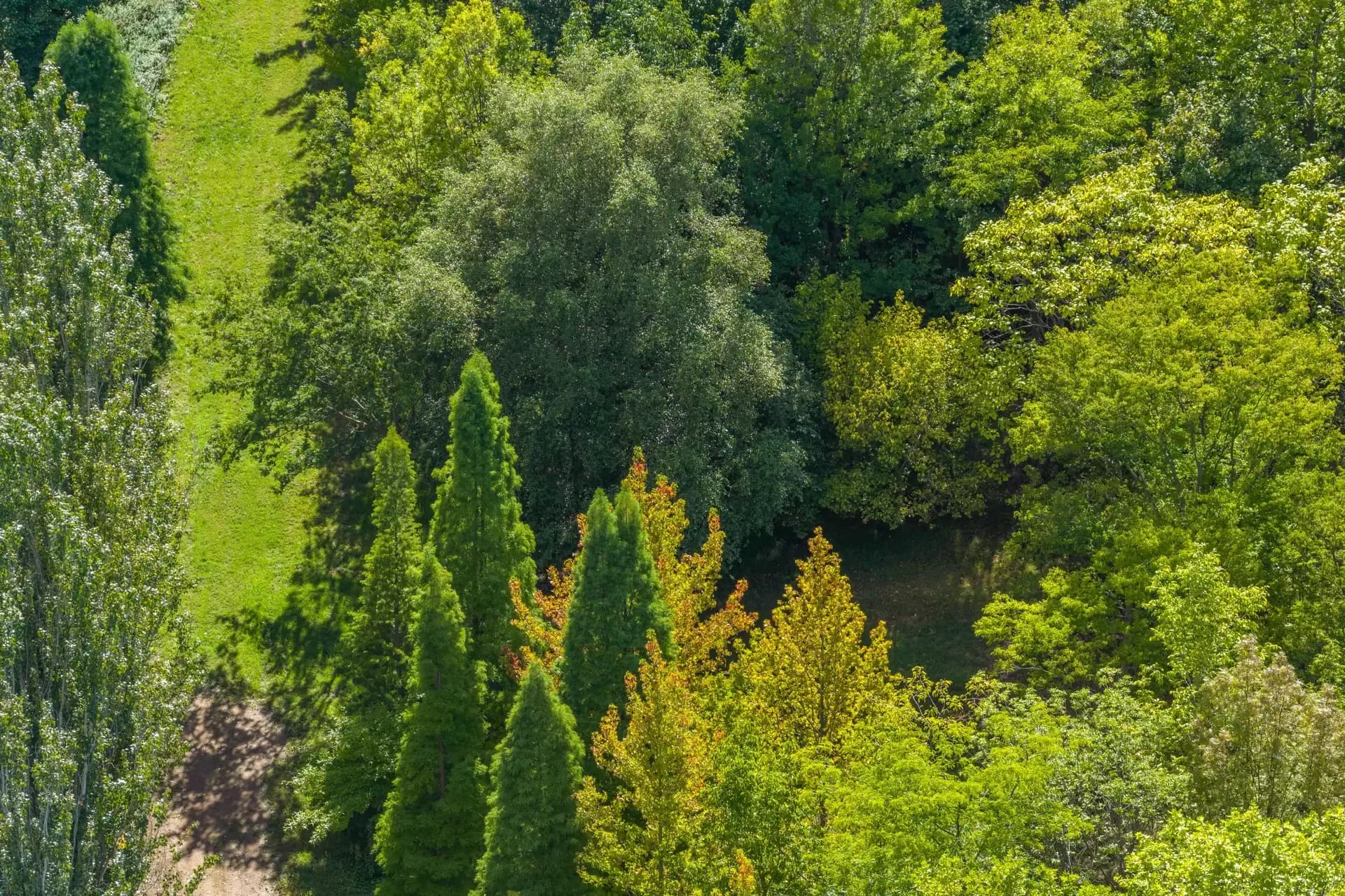 41 Oxleys Hill Road, Bowral, Bowral - Thumbnail 3