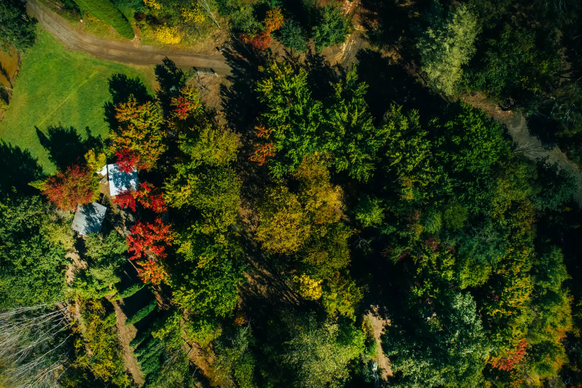 41 Oxleys Hill Road, Bowral, Bowral - Thumbnail 4
