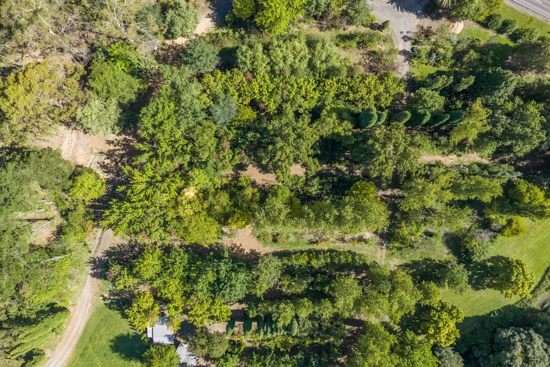 41 Oxleys Hill Road, Bowral, Bowral - Thumbnail 6