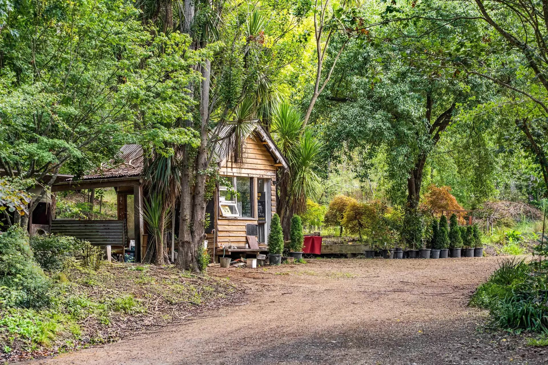 41 Oxleys Hill Road, Bowral, Bowral - Thumbnail 8