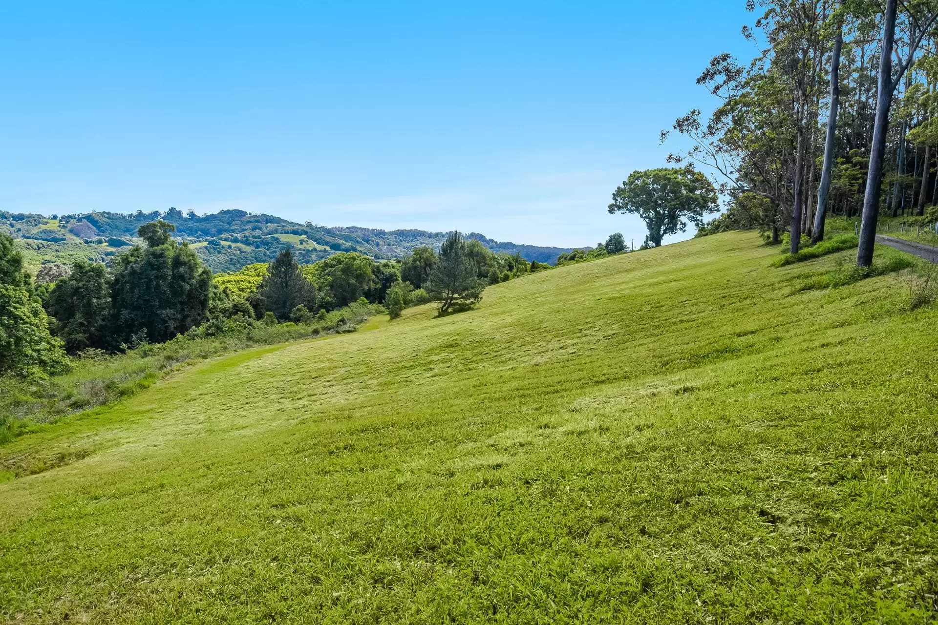 510 Goonengerry Road, Montecollum, Montecollum - Thumbnail 4