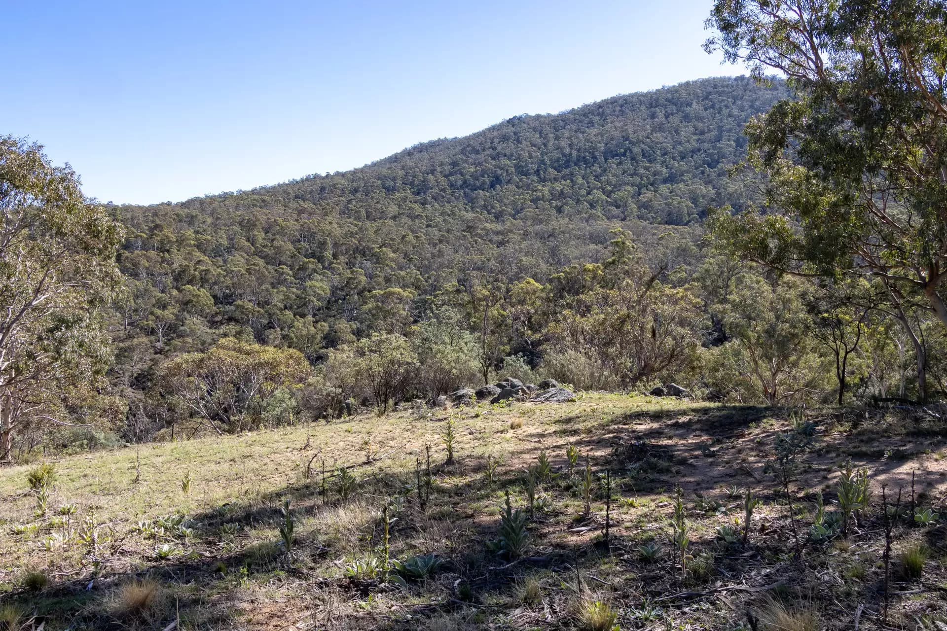 Lot 46, 374 Kalkite Road, Kalkite, Kalkite - Thumbnail 2