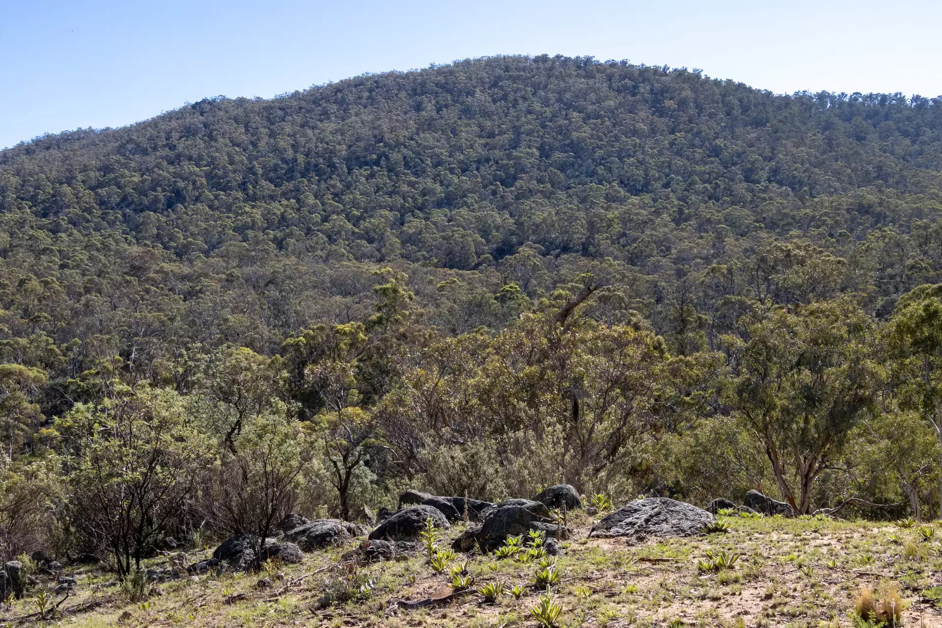 Lot 46, 374 Kalkite Road, Kalkite, Kalkite - Thumbnail 4