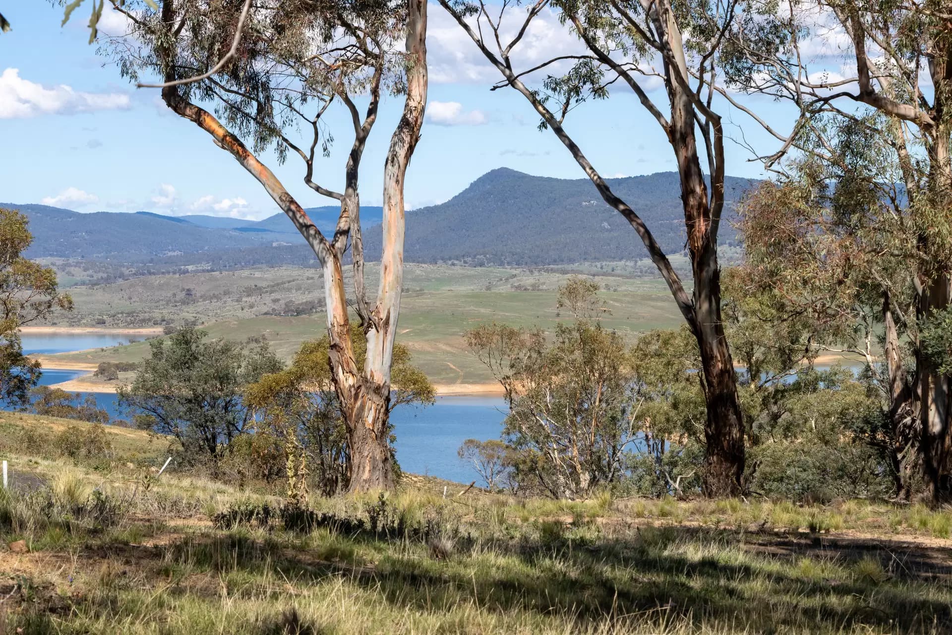Lot 29, 374 Kalkite Road, Kalkite, Kalkite - Image 1