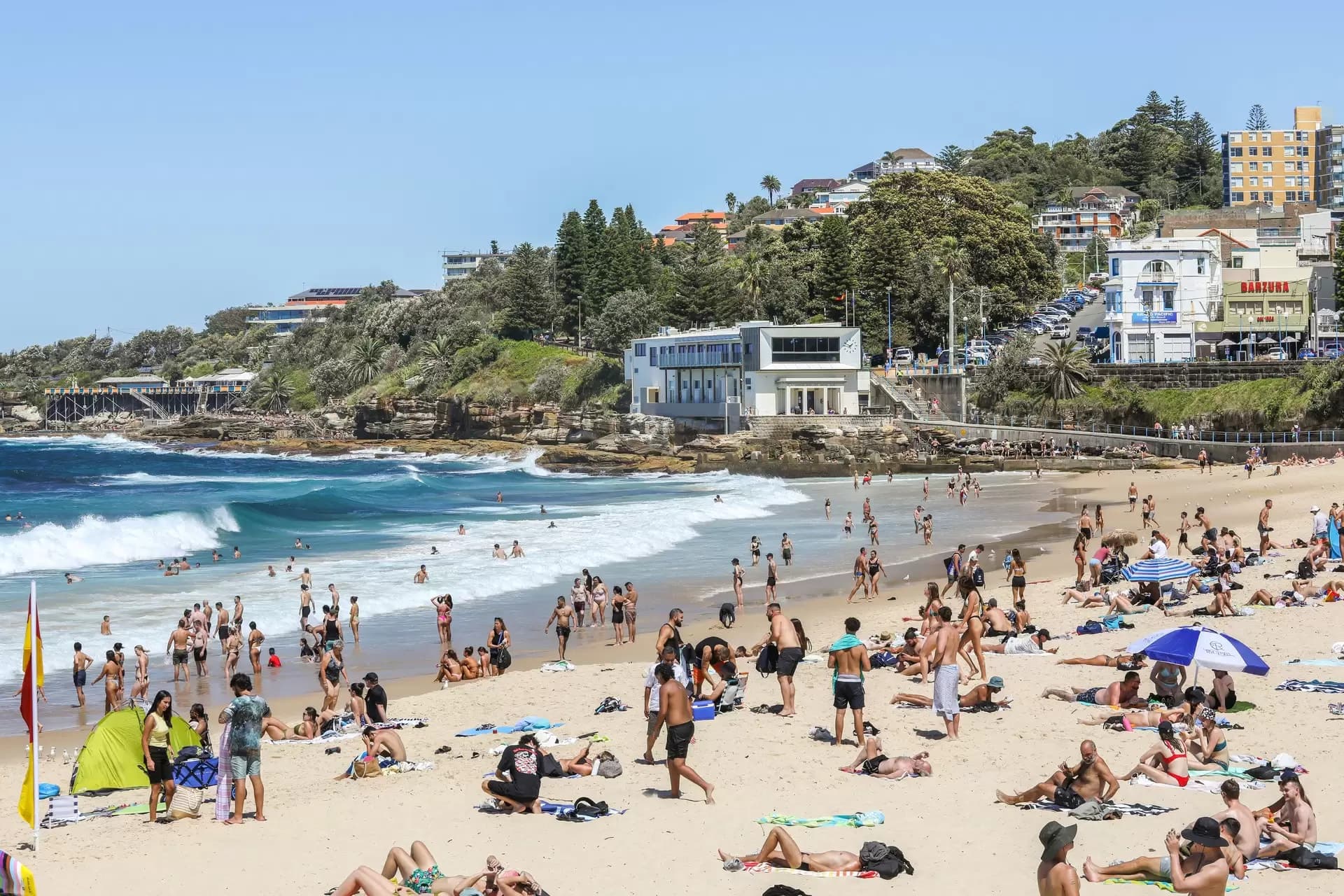 3/17 Carr Street, Coogee, Coogee - Thumbnail 8