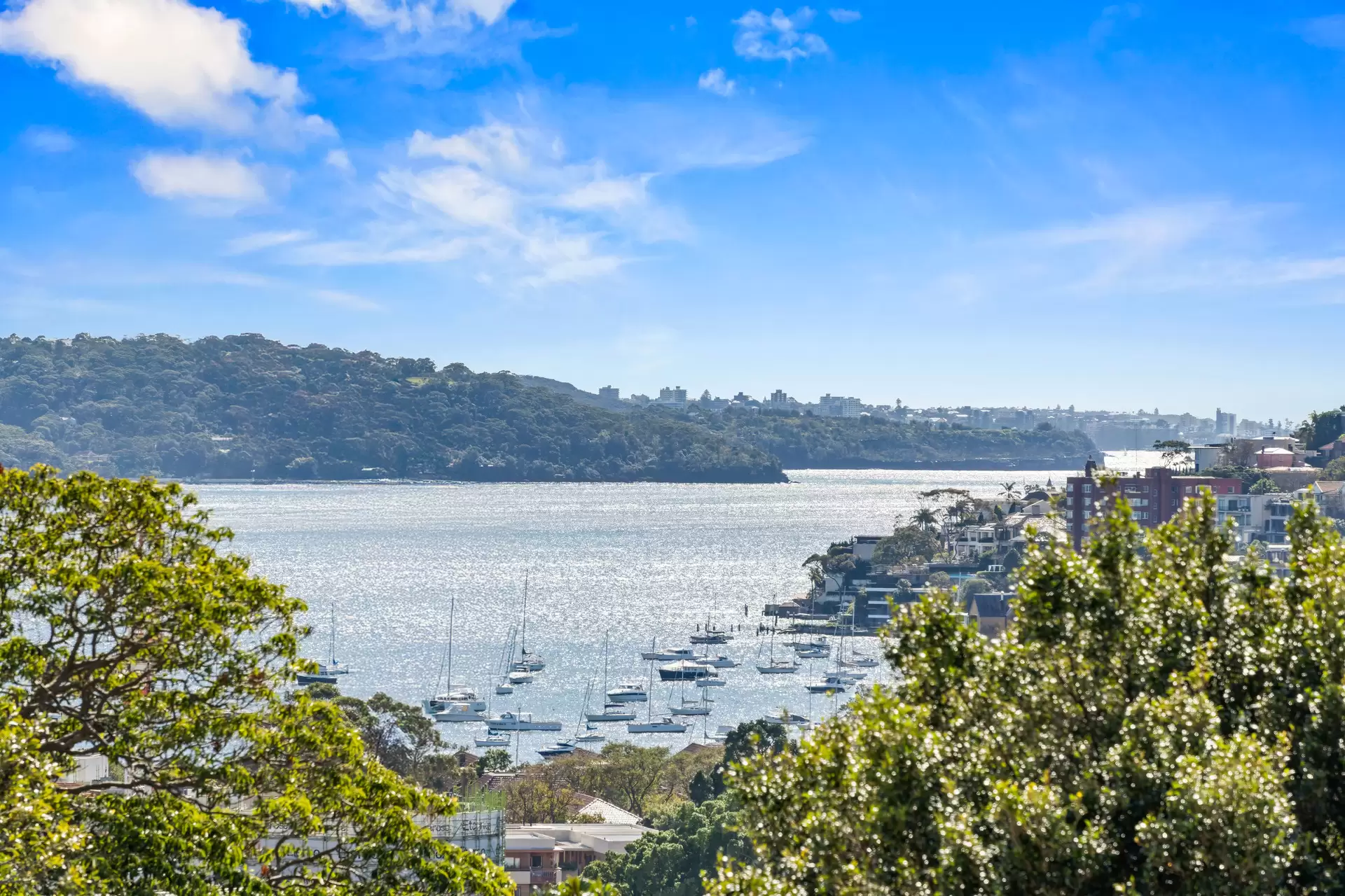 335B Edgecliff Road, Woollahra, Woollahra - Thumbnail 7