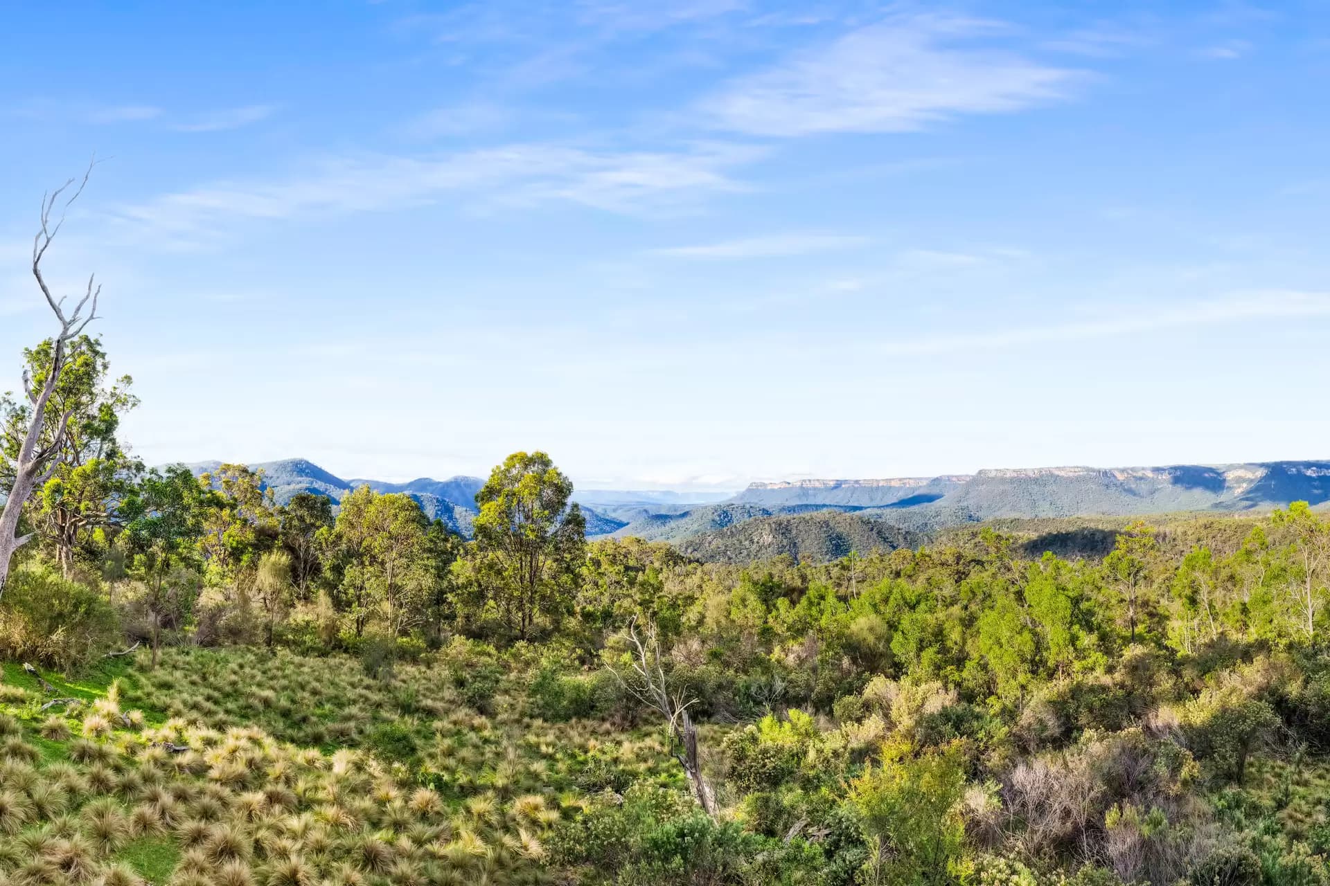 251 Obriens Road, Bullio, Bullio - Thumbnail 6