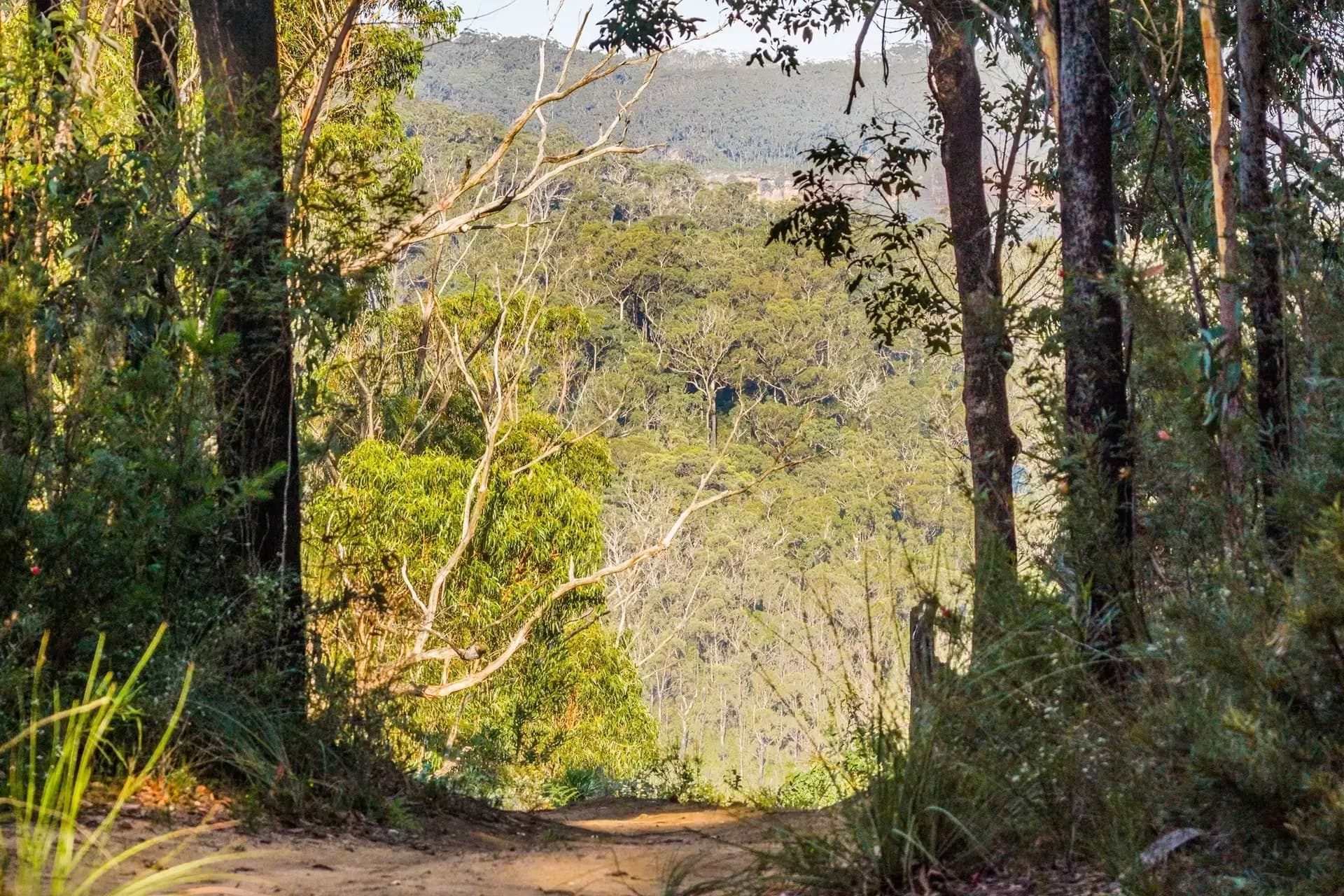 161 Teudts Road, Bundanoon, Bundanoon - Thumbnail 4